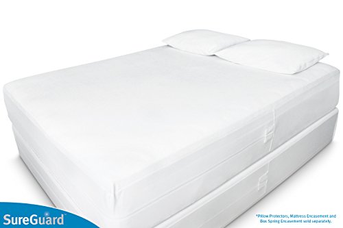 Waterproof Hypoallergenic Pillow Encasements, Pair