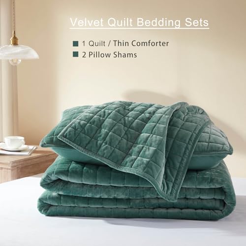 LEAONME Velvet Quilt Set