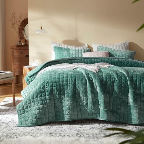 LEAONME Velvet Quilt Set