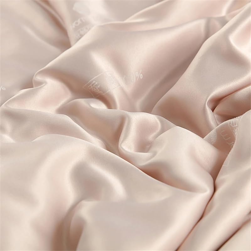 VCDUXMQLK Quilt Duvet Handmade 4 Season Comforter Warm Comfort