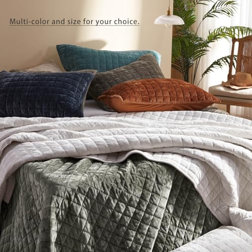 LEAONME Velvet Quilt Set
