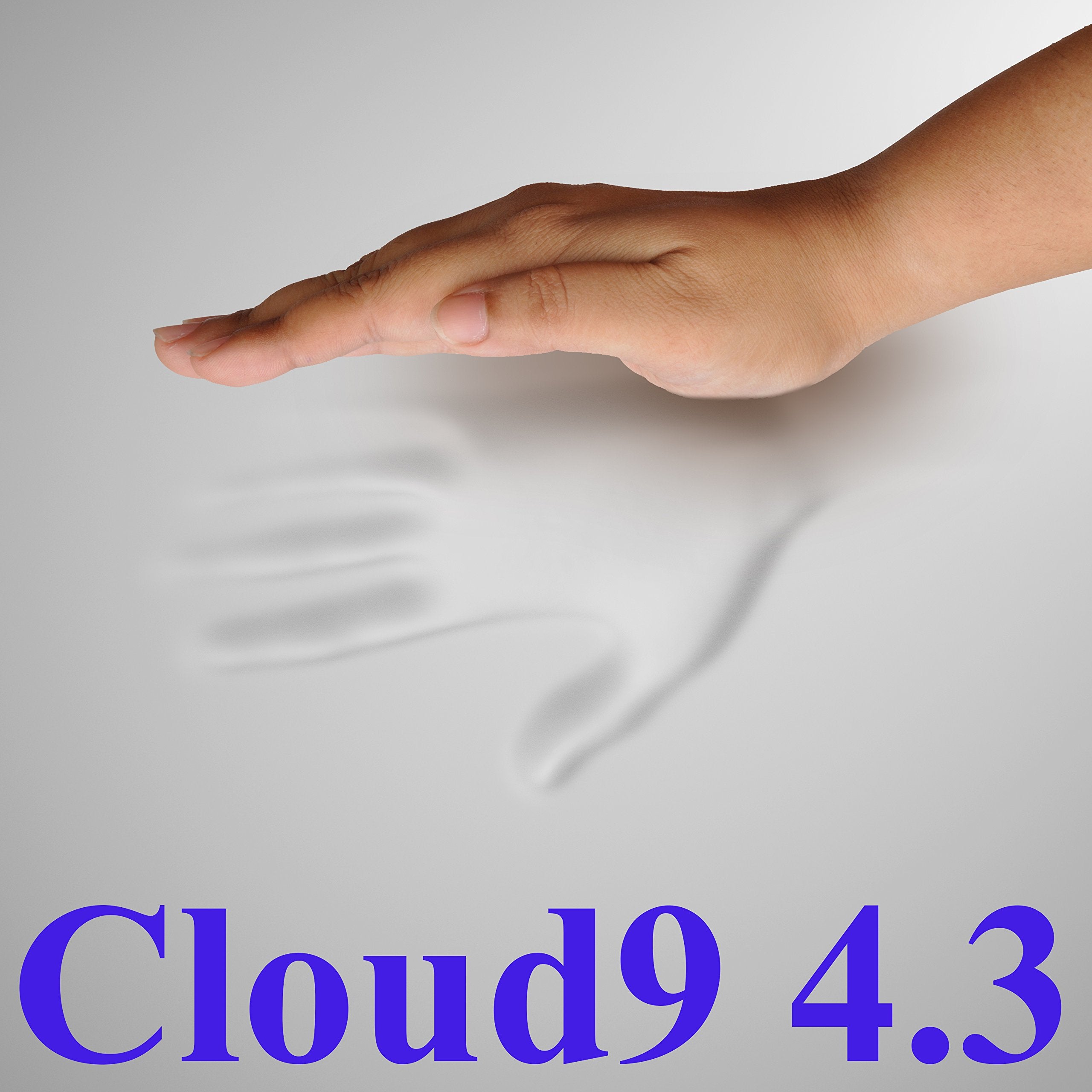 Cloud9 Memory Foam Mattress Topper with Contour Pillow
